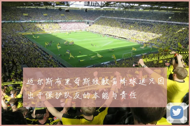迈尔斯布里奇斯致歉黄蜂球迷只因出于保护队友的本能与责任