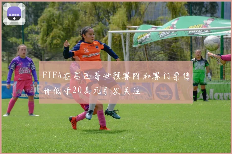 FIFA在墨西哥世预赛附加赛门票售价低于20美元引发关注